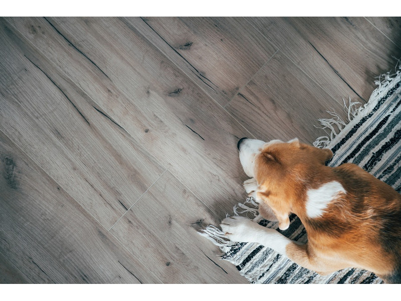 Tippek hogyan válasszunk laminált padlót Tippek hogyan válasszunk laminált padlót