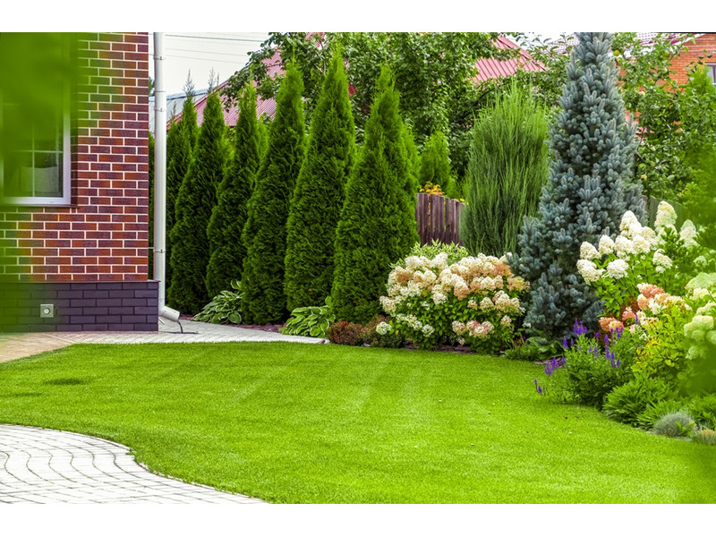 így kezdj füvesíteni a kertben így kezdj füvesíteni a kertben