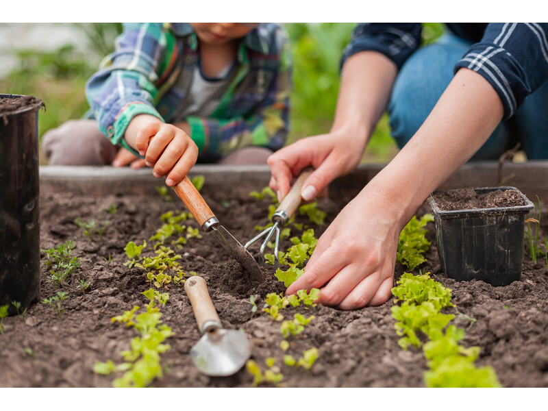 Magasagyas-raklapokbol Magasagyas-raklapokbol