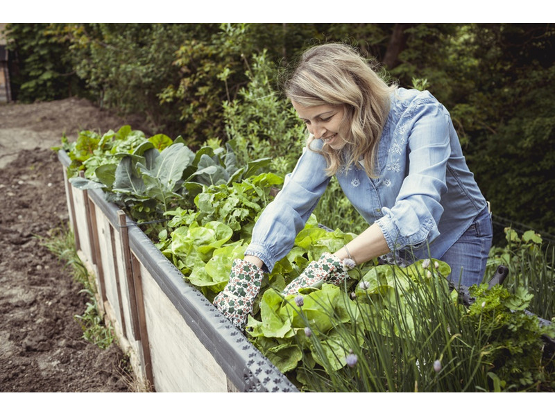ezek a kerti magaságyás előnyei ezek a kerti magaságyás előnyei