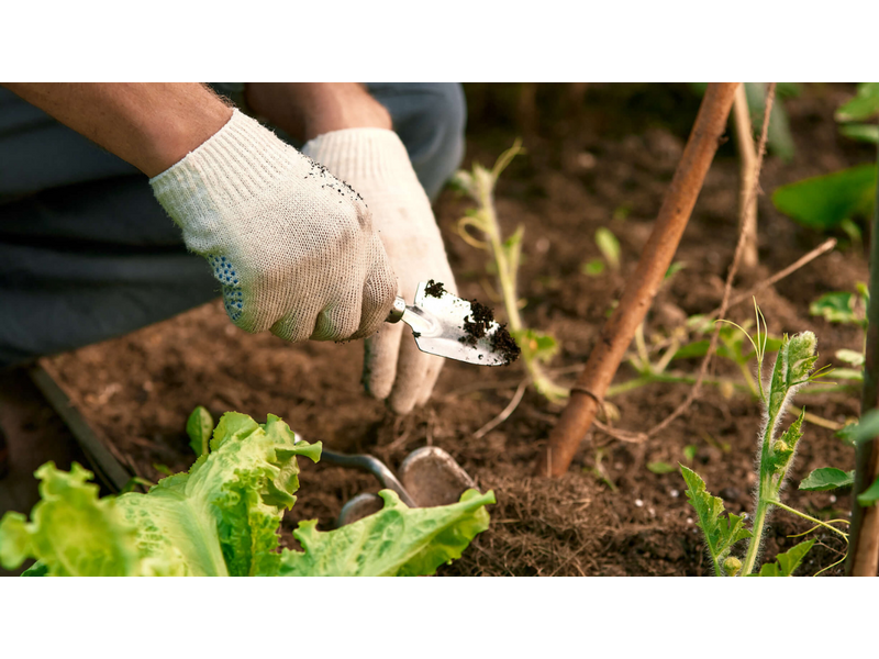 Nyari-kert-rendezes Nyari-kert-rendezes