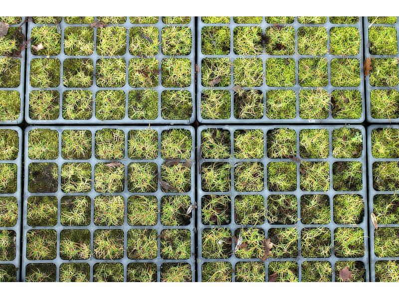 Műanyag gyeprács Műanyag gyeprács