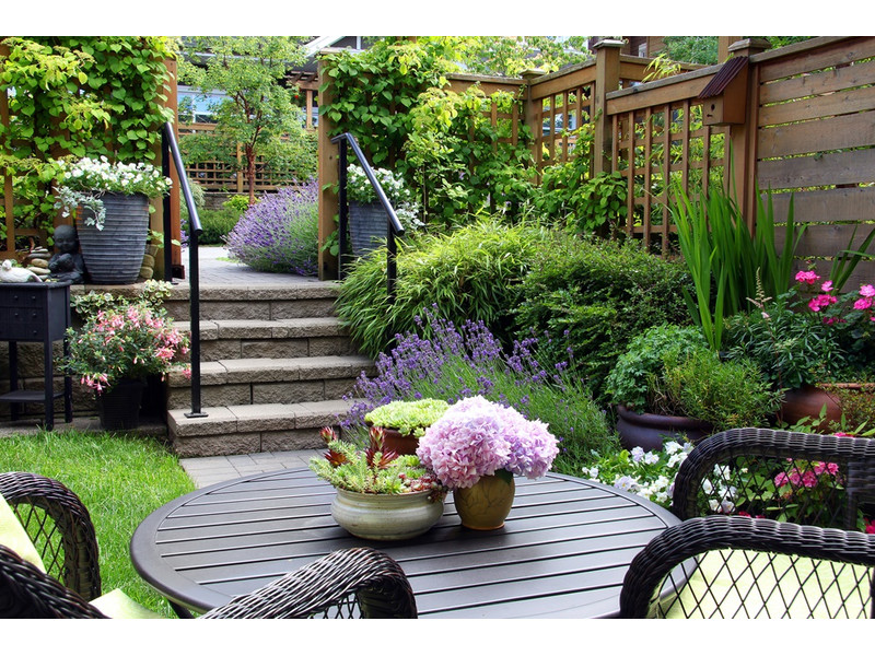 térkővel a gyönyörű kertért térkővel a gyönyörű kertért