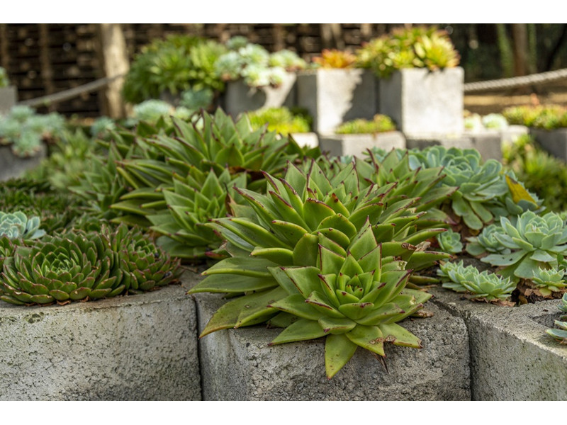kerti bútorok és virágtartók zsalukőből kerti bútorok és virágtartók zsalukőből