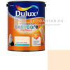 Dulux Easycare gyöngyöző pezsgő 5 l