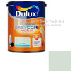 Dulux Easycare fűzfa rejtek 5 l