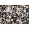 Scherf folyami kavics szürke-bézs 16-32 mm, 25 kg Scherf folyami kavics szürke-bézs 16-32 mm, 25 kg