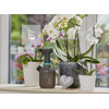 Gardena pumpás permetező 1 l Gardena pumpás permetező 1 l