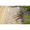 Leier Patio Térkő és falazóelem agyagbarna melírozott 25x12,4 cm 5 cm Leier Patio Térkő és falazóelem agyagbarna melírozott 25x12,4 cm 5 cm