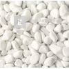 Scherf márvány díszkavics Carrara-fehér 16-25 mm 15 kg Scherf márvány díszkavics Carrara-fehér 16-25 mm 15 kg