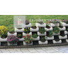 Semmelrock Flori Rézsűelem szürke 27x31x13 cm Semmelrock Flori Rézsűelem szürke 27x31x13 cm