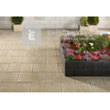 Leier Facelift Finommosott burkoló lap, arany 60x40x3,8 cm Leier Facelift Finommosott burkoló lap, arany 60x40x3,8 cm