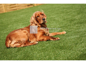 Béta-Floor Quartz 26 műfű, 2 m tekercsszélesség Béta-Floor Quartz 26 műfű, 2 m tekercsszélesség