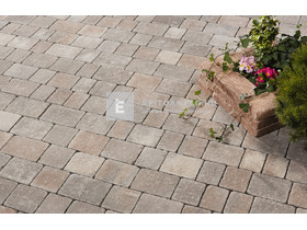 Leier Castrum Kombi térkő antik kagylóhéj 5 cm Leier Castrum Kombi térkő antik kagylóhéj 5 cm