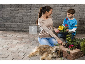 Leier Castrum Kombi térkő antik kagylóhéj 5 cm Leier Castrum Kombi térkő antik kagylóhéj 5 cm