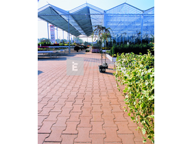 KK Kavics Rotterdam Térkő normálkő KK vörös 20x16,5 cm 6 cm KK Kavics Rotterdam Térkő normálkő KK vörös 20x16,5 cm 6 cm