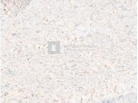 Leier taktilis jelzőkő pogácsás, fehér 10x20x6 cm Leier taktilis jelzőkő pogácsás, fehér 10x20x6 cm