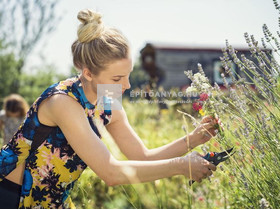 Gardena metszőolló M Gardena metszőolló M