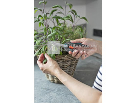 Gardena szüretelő olló készlet Gardena szüretelő olló készlet