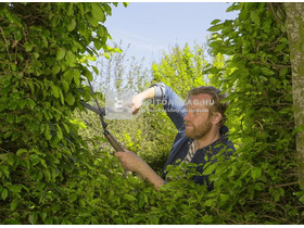 Gardena NatureCut sövénynyíró olló FSC® 100% Gardena NatureCut sövénynyíró olló FSC® 100%