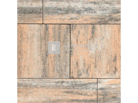 SW Térkő Hernádkő kombi kagyló 6 cm