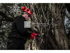 Milwaukee M12FHS-0 M12 Fuel láncfűrész Milwaukee M12FHS-0 M12 Fuel láncfűrész