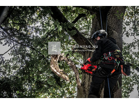 Milwaukee M12FHS-0 M12 Fuel láncfűrész Milwaukee M12FHS-0 M12 Fuel láncfűrész