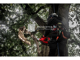 Milwaukee M12FHS-0 M12 Fuel láncfűrész Milwaukee M12FHS-0 M12 Fuel láncfűrész