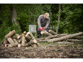 Milwaukee M18FHS20-552 ágvágó láncfűrész 20 cm Milwaukee M18FHS20-552 ágvágó láncfűrész 20 cm