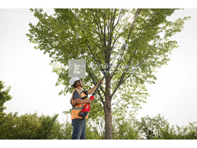 Milwaukee M18BLTS-0 BL teleszkópos ágvágó olló Milwaukee M18BLTS-0 BL teleszkópos ágvágó olló