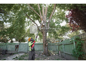 Milwaukee M18FTPS30-121 teleszkópos magassági láncfűrész 30 cm Milwaukee M18FTPS30-121 teleszkópos magassági láncfűrész 30 cm