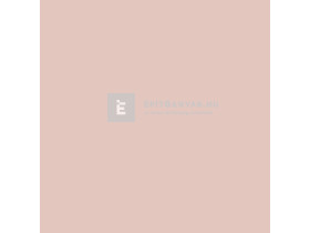 Novasol Pinty Plus Home vizes bázisú festék spray light rose HM117 400 ml Novasol Pinty Plus Home vizes bázisú festék spray light rose HM117 400 ml