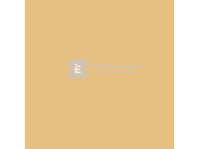 PintyPlus Evolution akril festék spray RAL 1001 beige 400 ml PintyPlus Evolution akril festék spray RAL 1001 beige 400 ml