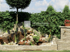 Leier Patio Térkő és falazóelem agyagbarna melírozott 25x12,4 cm 5 cm Leier Patio Térkő és falazóelem agyagbarna melírozott 25x12,4 cm 5 cm