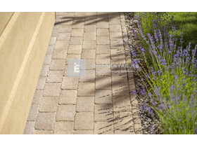 Leier Patio Térkő és falazóelem agyagbarna melírozott 25x12,4 cm 5 cm Leier Patio Térkő és falazóelem agyagbarna melírozott 25x12,4 cm 5 cm