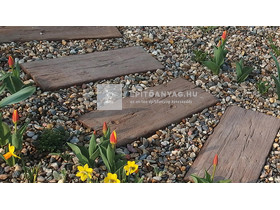 Semmelrock Talpfa Elem antikbarna 60x25x4 cm Semmelrock Talpfa Elem antikbarna 60x25x4 cm