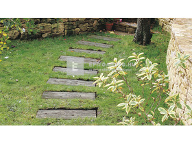 Semmelrock Talpfa Elem antikbarna 60x25x4 cm Semmelrock Talpfa Elem antikbarna 60x25x4 cm