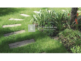 Semmelrock Talpfa Elem antikbarna 60x25x4 cm Semmelrock Talpfa Elem antikbarna 60x25x4 cm