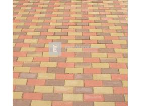 SW Solymoskő Térkő őszilomb 20x10 cm 6 cm 9,6 m2/rkl SW Solymoskő Térkő őszilomb 20x10 cm 6 cm 9,6 m2/rkl