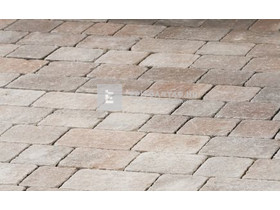 Leier Castrum Kombi térkő antik kagylóhéj 5 cm Leier Castrum Kombi térkő antik kagylóhéj 5 cm