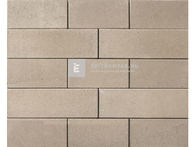 Leier Forum Térkő középszürke 40x20 cm 8 cm Leier Forum Térkő középszürke 40x20 cm 8 cm