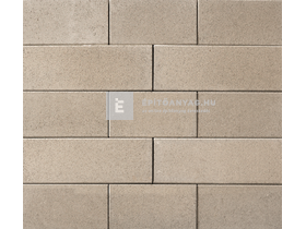 Leier Forum Térkő középszürke 60x20 cm 8 cm Leier Forum Térkő középszürke 60x20 cm 8 cm
