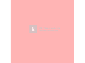 Revco Primer Vékonyvakolat alapozó scarlet 2, 3,75 kg Revco Primer Vékonyvakolat alapozó scarlet 2, 3,75 kg