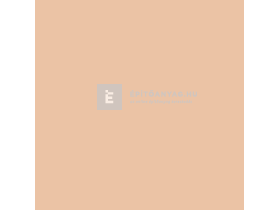 Revco Szilikát Vékonyvakolat alapozó mocca 2, 15 kg Revco Szilikát Vékonyvakolat alapozó mocca 2, 15 kg