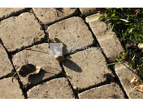 KK Kavics Aquincum Térkő nagytégla homok 21x28 cm 7 cm