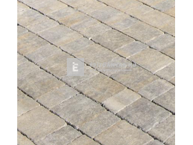 Viastein Vieto Mistro Kombi térkő kagylóhéj árnyalt 8 cm CCP Viastein Vieto Mistro Kombi térkő kagylóhéj árnyalt 8 cm CCP