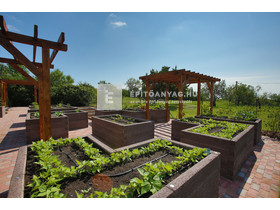 Leier Durisol Magaságyás Leier Durisol Magaságyás