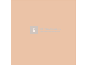 Revco Szilikon Spachtel Vékonyvakolat, kapart 1,5 mm mustang 2, 16 kg Revco Szilikon Spachtel Vékonyvakolat, kapart 1,5 mm mustang 2, 16 kg