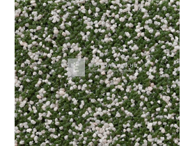 Cemix-LB-Knauf Decorol ZZZWW 15 kg Cemix-LB-Knauf Decorol ZZZWW 15 kg