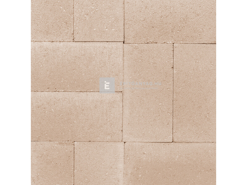 SW Térkő Bodrogkő bézs 12,5x25x5 cm